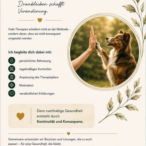 Hundeauslaufgebiet-PAW Haus Hattingen-Bild