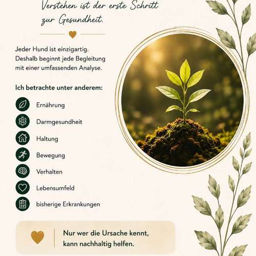 Hundeauslaufgebiet-PAW Haus Hattingen-Bild