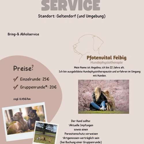 Hundeauslaufgebiet-Pfotenvital-Feibig-Bild