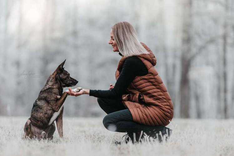 Hundeauslaufgebiet-Hundeschule GUTES GEFÜHL -Bild