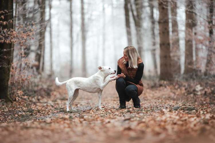 Hundeauslaufgebiet-Hundeschule GUTES GEFÜHL -Bild