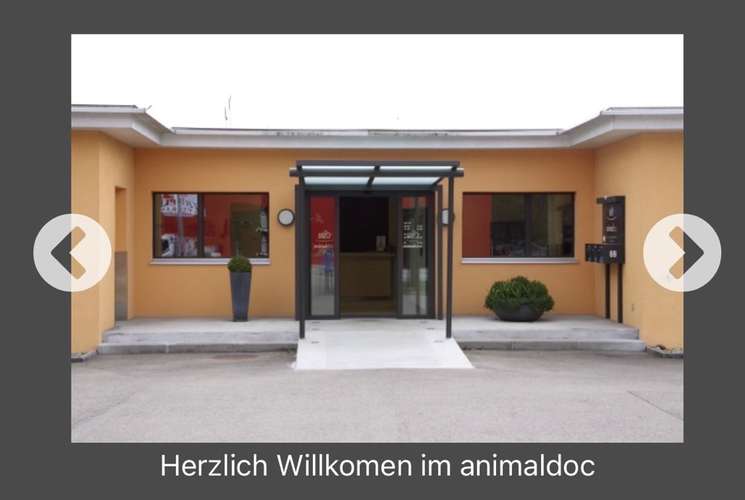 Hundeauslaufgebiet-animaldoc-Bild