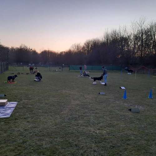 Hundeauslaufgebiet-Hundetrainingszentrum Salzgitter-Bild