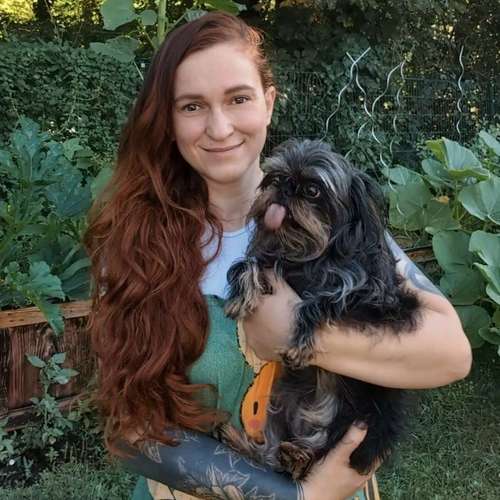 Hundeauslaufgebiet-Fellkultur-Bild