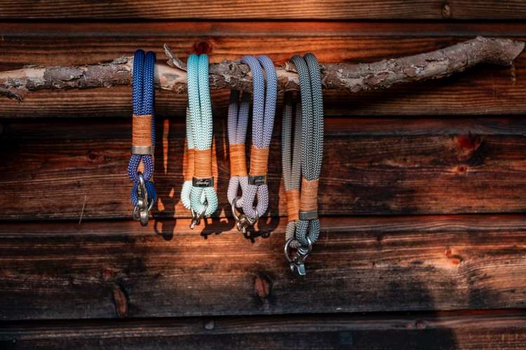 Hundeauslaufgebiet-hey.maja-Bild