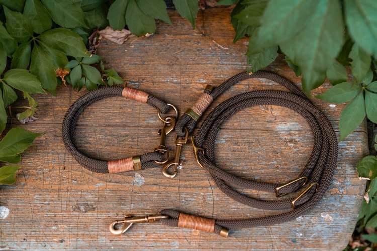 Hundeauslaufgebiet-hey.maja-Bild