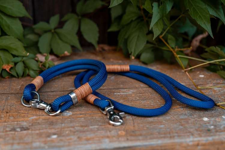 Hundeauslaufgebiet-hey.maja-Bild