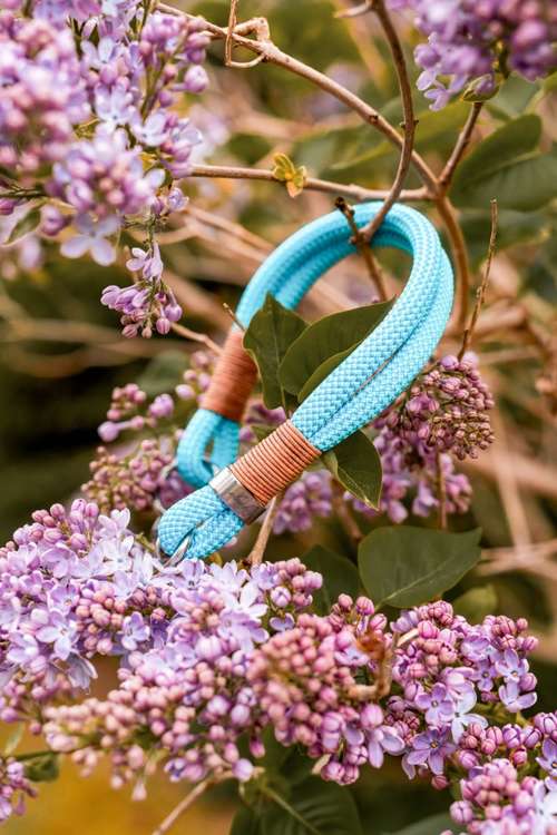 Hundeauslaufgebiet-hey.maja-Bild