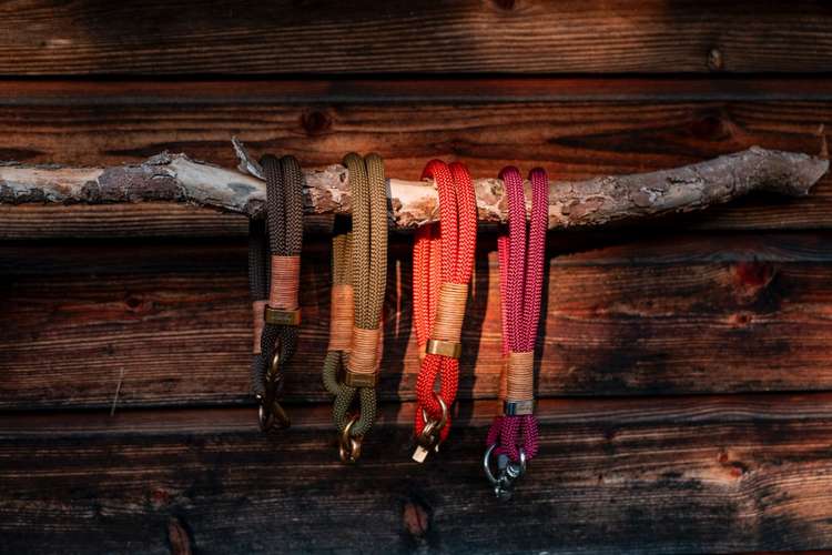 Hundeauslaufgebiet-hey.maja-Bild