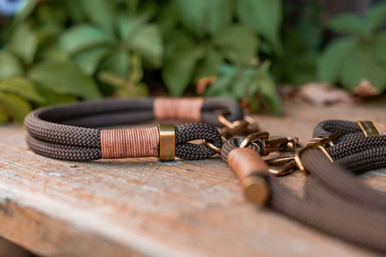 Hundeauslaufgebiet-hey.maja-Bild