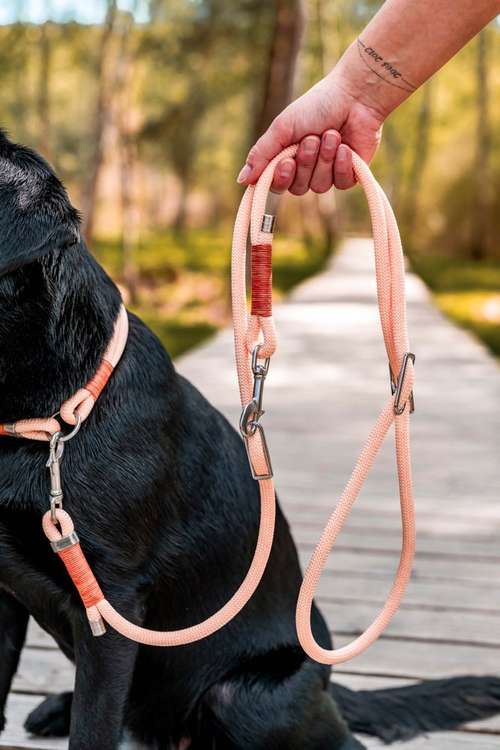 Hundeauslaufgebiet-hey.maja-Bild