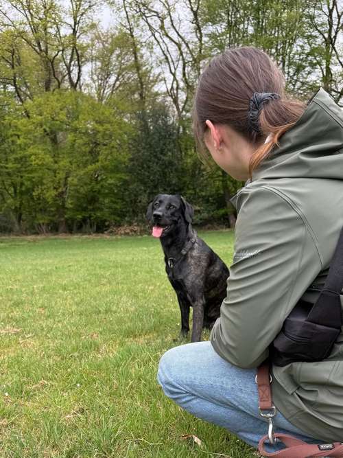 Hundeauslaufgebiet-Maditas Pfotenbalance-Bild