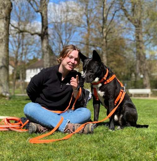 Hundeauslaufgebiet-Maditas Pfotenbalance-Bild