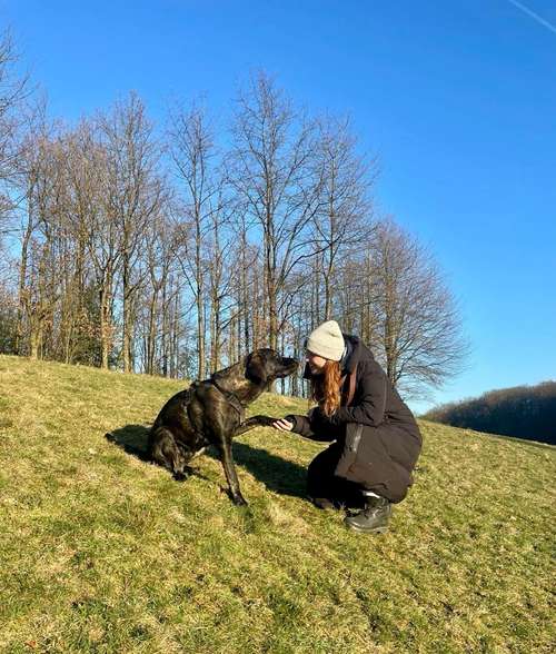 Hundeauslaufgebiet-Maditas Pfotenbalance-Bild
