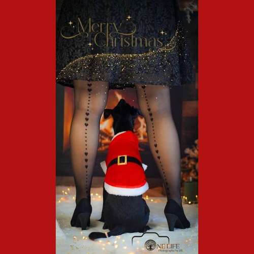 Hundeauslaufgebiet-One Life Photography by J.R.-Bild