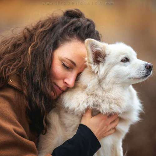 Hundeauslaufgebiet-Herzensblick Fotografie-Bild