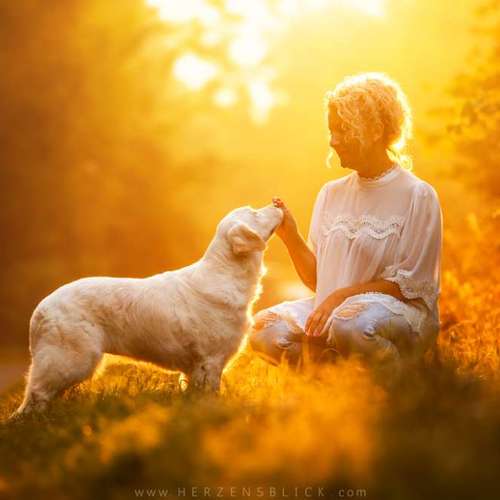 Hundeauslaufgebiet-Herzensblick Fotografie-Bild