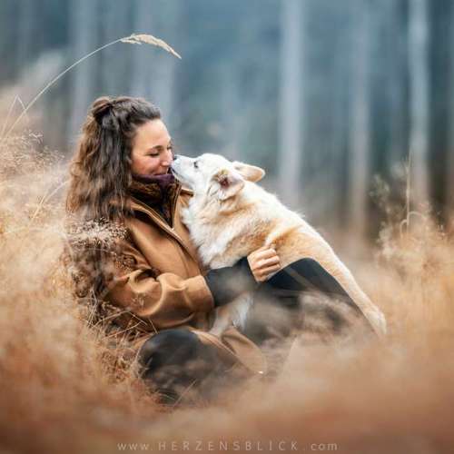 Hundeauslaufgebiet-Herzensblick Fotografie-Bild
