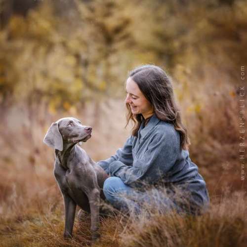 Hundeauslaufgebiet-Herzensblick Fotografie-Bild