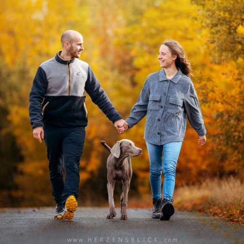 Hundeauslaufgebiet-Herzensblick Fotografie-Bild