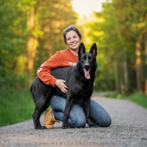 Hundeauslaufgebiet-Herzensblick Fotografie-Bild