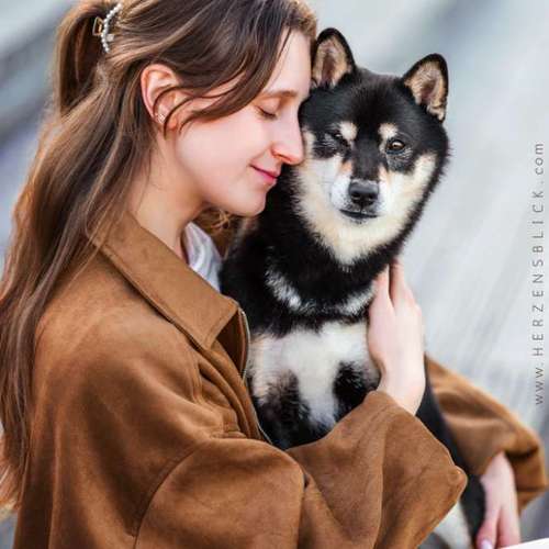 Hundeauslaufgebiet-Herzensblick Fotografie-Bild