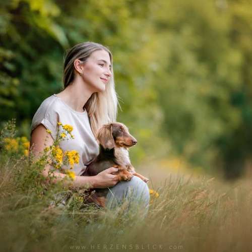 Hundeauslaufgebiet-Herzensblick Fotografie-Bild