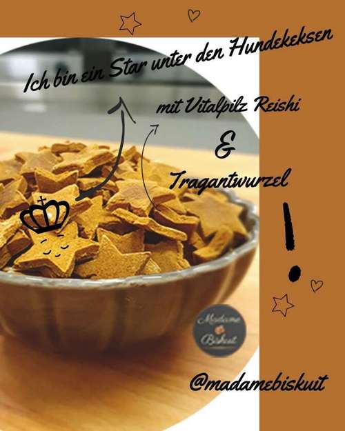 Hundeauslaufgebiet-Madame Biskuit - Die Hundebäckerei-Bild