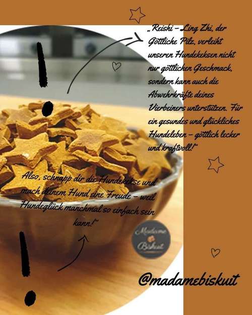 Hundeauslaufgebiet-Madame Biskuit - Die Hundebäckerei-Bild