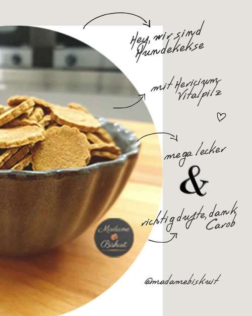 Hundeauslaufgebiet-Madame Biskuit - Die Hundebäckerei-Bild