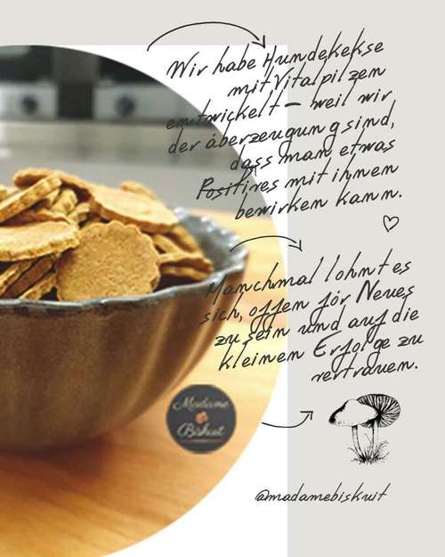 Hundeauslaufgebiet-Madame Biskuit - Die Hundebäckerei-Bild