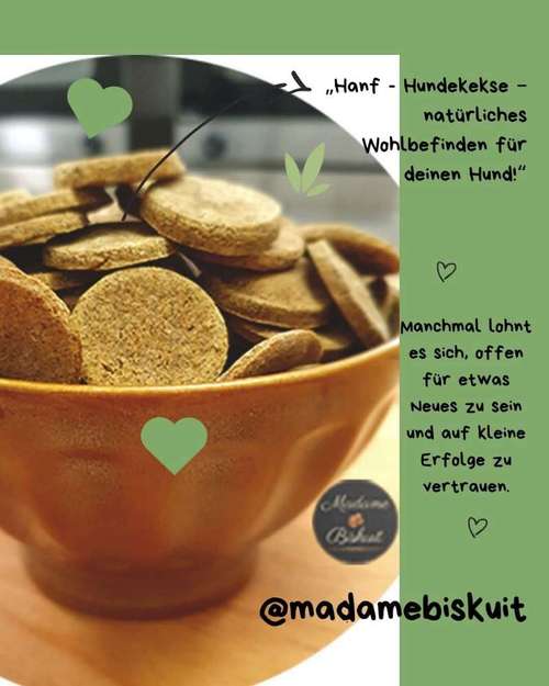 Hundeauslaufgebiet-Madame Biskuit - Die Hundebäckerei-Bild