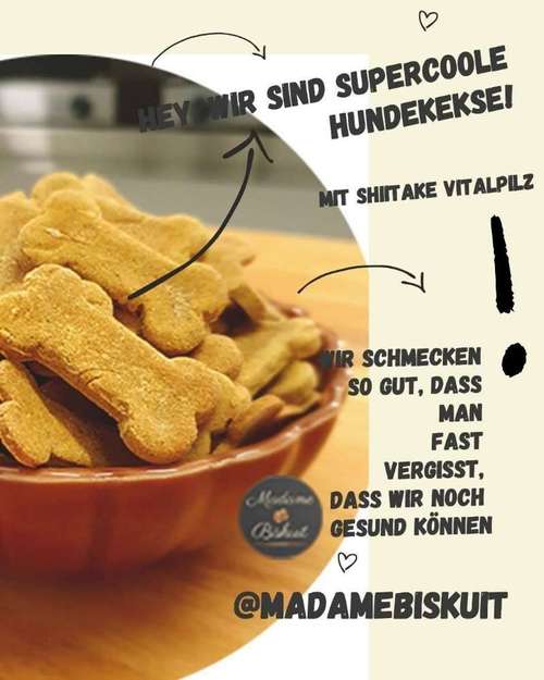 Hundeauslaufgebiet-Madame Biskuit - Die Hundebäckerei-Bild