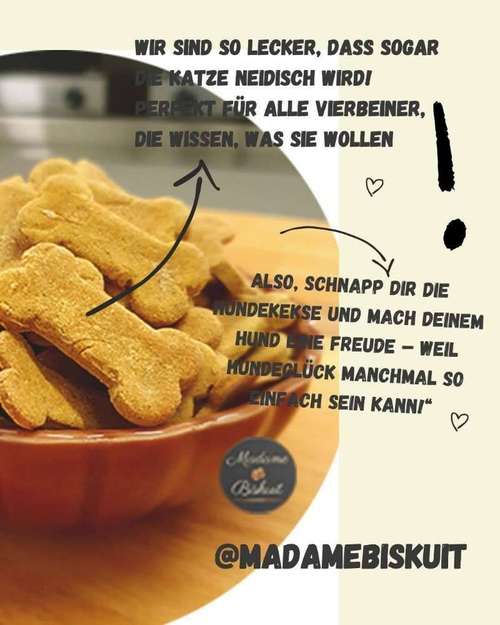 Hundeauslaufgebiet-Madame Biskuit - Die Hundebäckerei-Bild