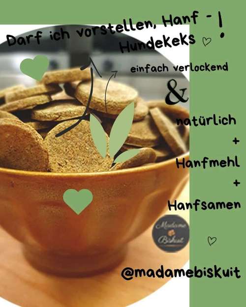 Hundeauslaufgebiet-Madame Biskuit - Die Hundebäckerei-Bild