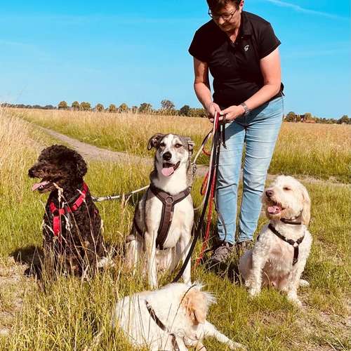 Hundeauslaufgebiet-Hund-um-betreut-Bild