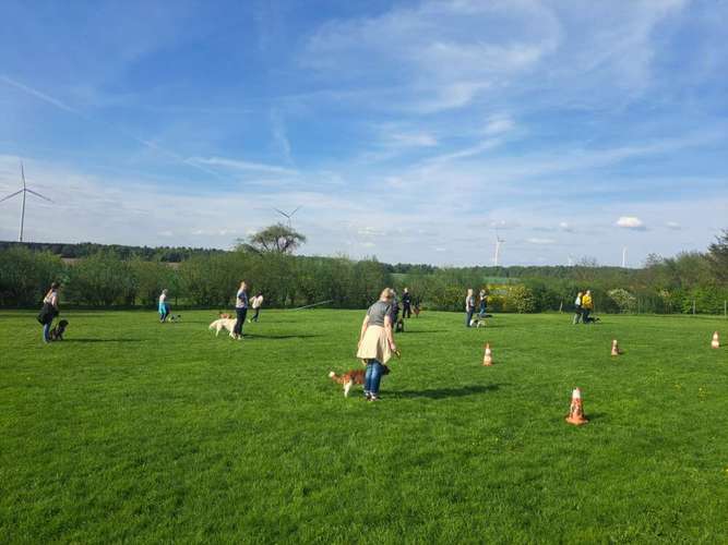 Hundeauslaufgebiet-Hundeschule Berthold Küttner-Bild