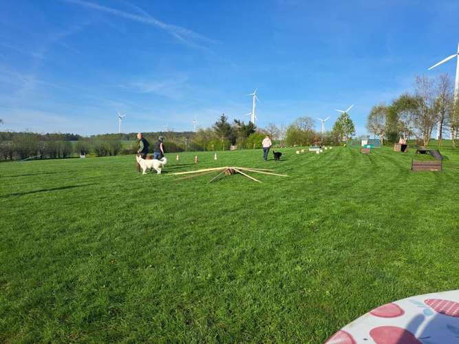 Hundeauslaufgebiet-Hundeschule Berthold Küttner-Bild