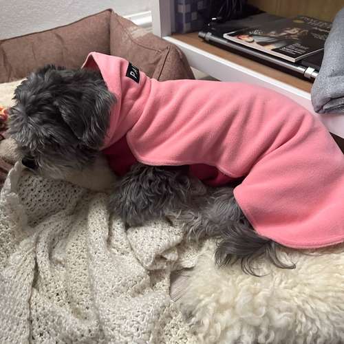Hundeauslaufgebiet-BB Studio & Shop-Bild