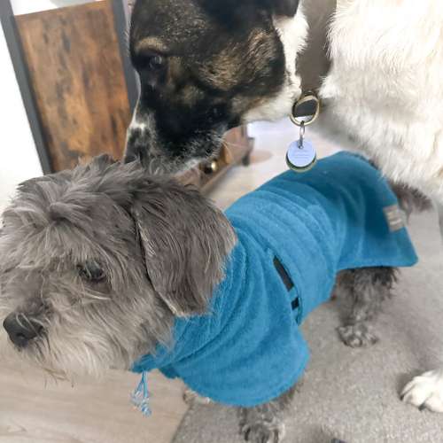 Hundeauslaufgebiet-BB Studio & Shop-Bild