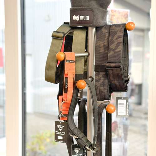 Hundeauslaufgebiet-BB Studio & Shop-Bild