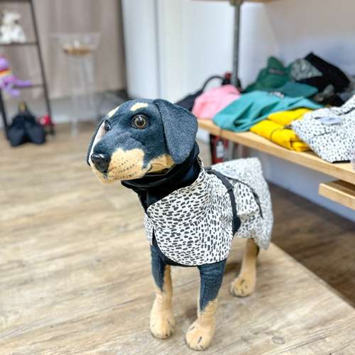 Hundeauslaufgebiet-BB Studio & Shop-Bild