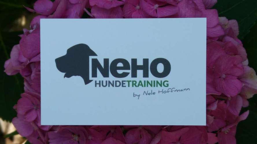 Hundeauslaufgebiet-NeHo Hundetraining-Bild