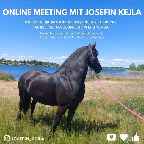 Hundeauslaufgebiet-Tierkommunikation - Josefin Kejla-Bild