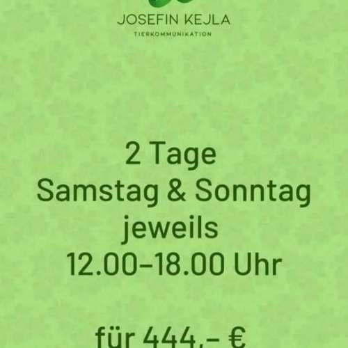 Hundeauslaufgebiet-Tierkommunikation - Josefin Kejla-Bild