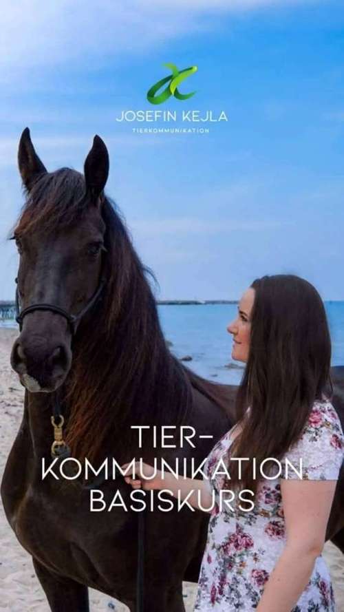 Hundeauslaufgebiet-Tierkommunikation - Josefin Kejla-Bild