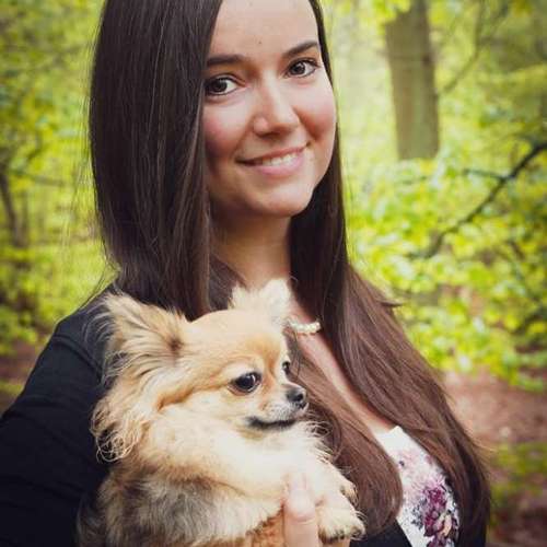 Hundeauslaufgebiet-Tierkommunikation - Josefin Kejla-Bild