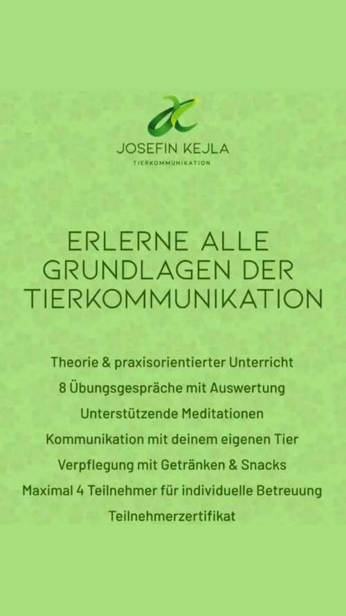 Hundeauslaufgebiet-Tierkommunikation - Josefin Kejla-Bild