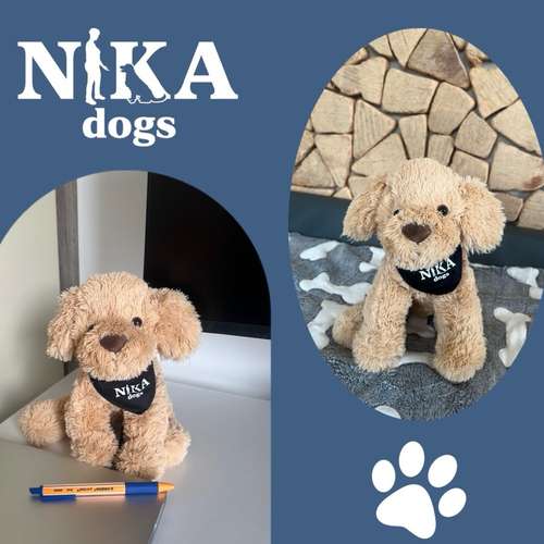 Hundeauslaufgebiet-NIKA dogs - Hundetraining & -verhaltensberatung-Bild