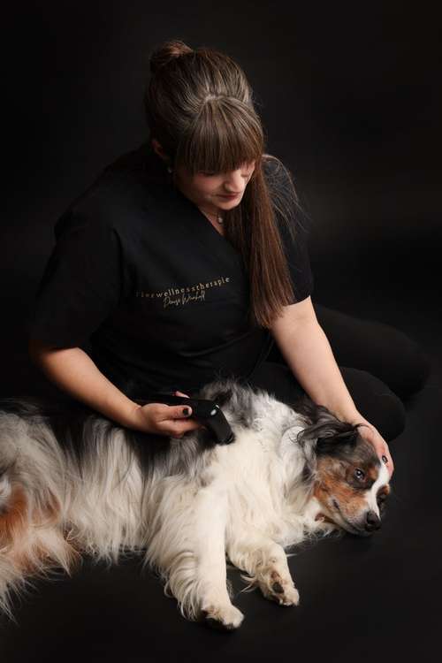 Hundeauslaufgebiet-Tierwellnesstherapie -Bild